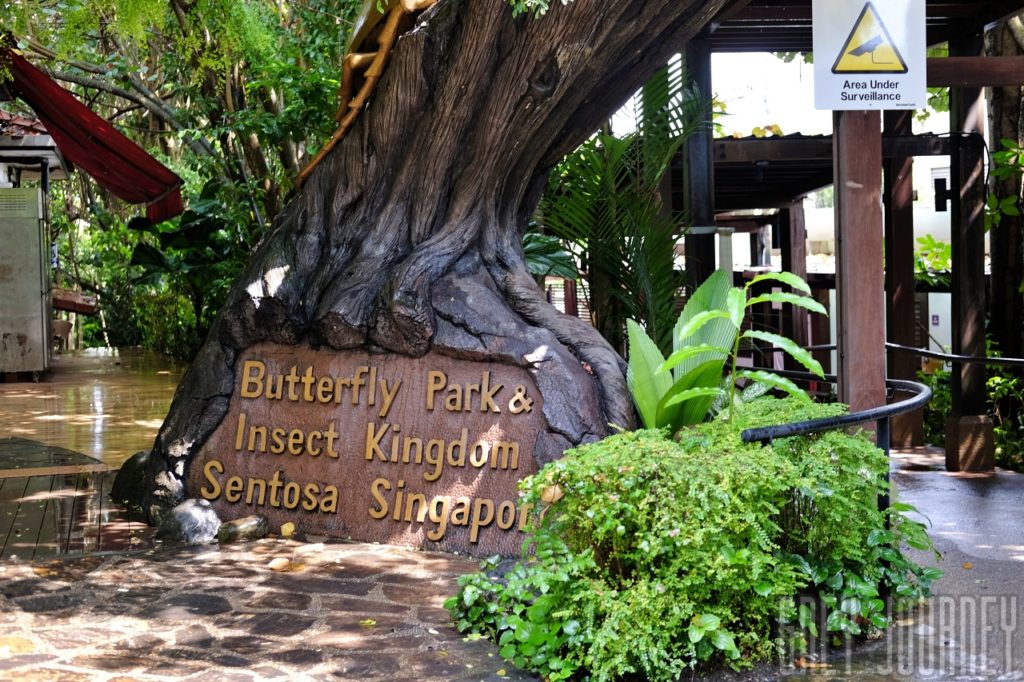 Butterfly Park & Insect Kingdom