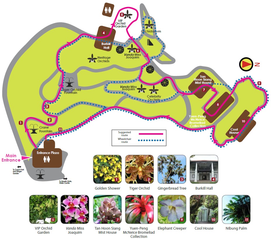 国立蘭植物園マップ - ボタニックガーデン