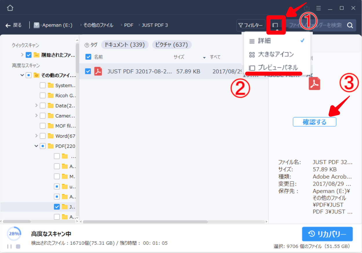 EaseUS Data Recovery Wizardプレビュー機能