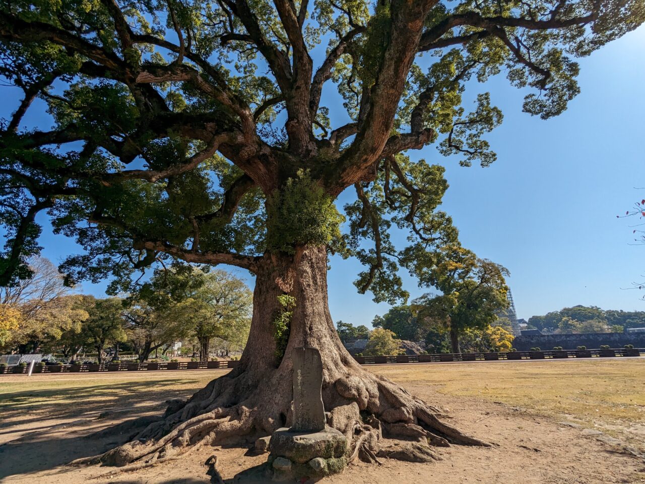 公園